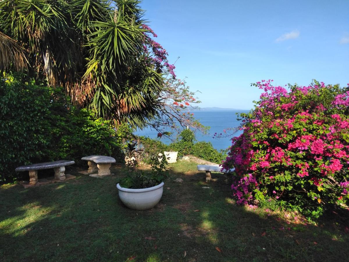 Irresistible View-Mobay Club 1408 Διαμέρισμα Μοντέγκο Μπέυ Εξωτερικό φωτογραφία