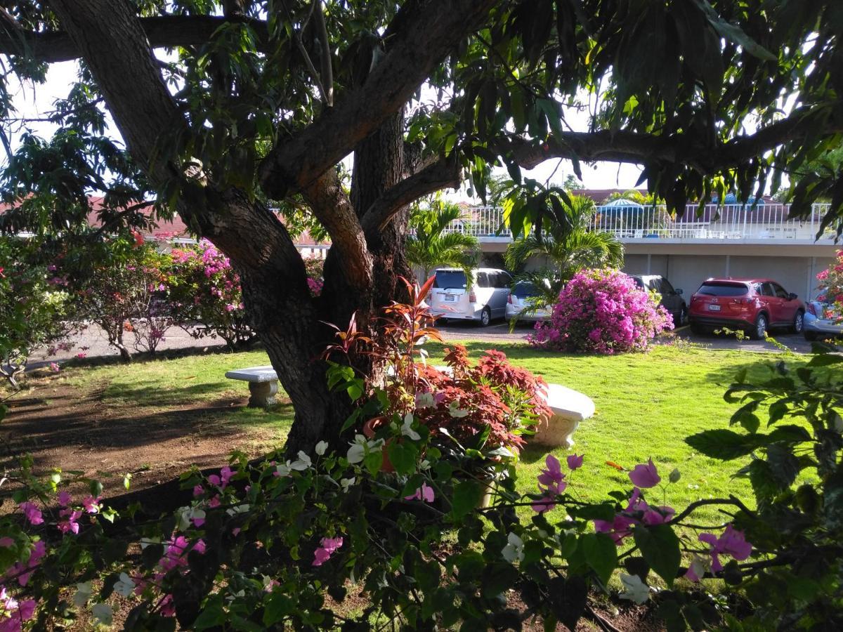 Irresistible View-Mobay Club 1408 Διαμέρισμα Μοντέγκο Μπέυ Εξωτερικό φωτογραφία