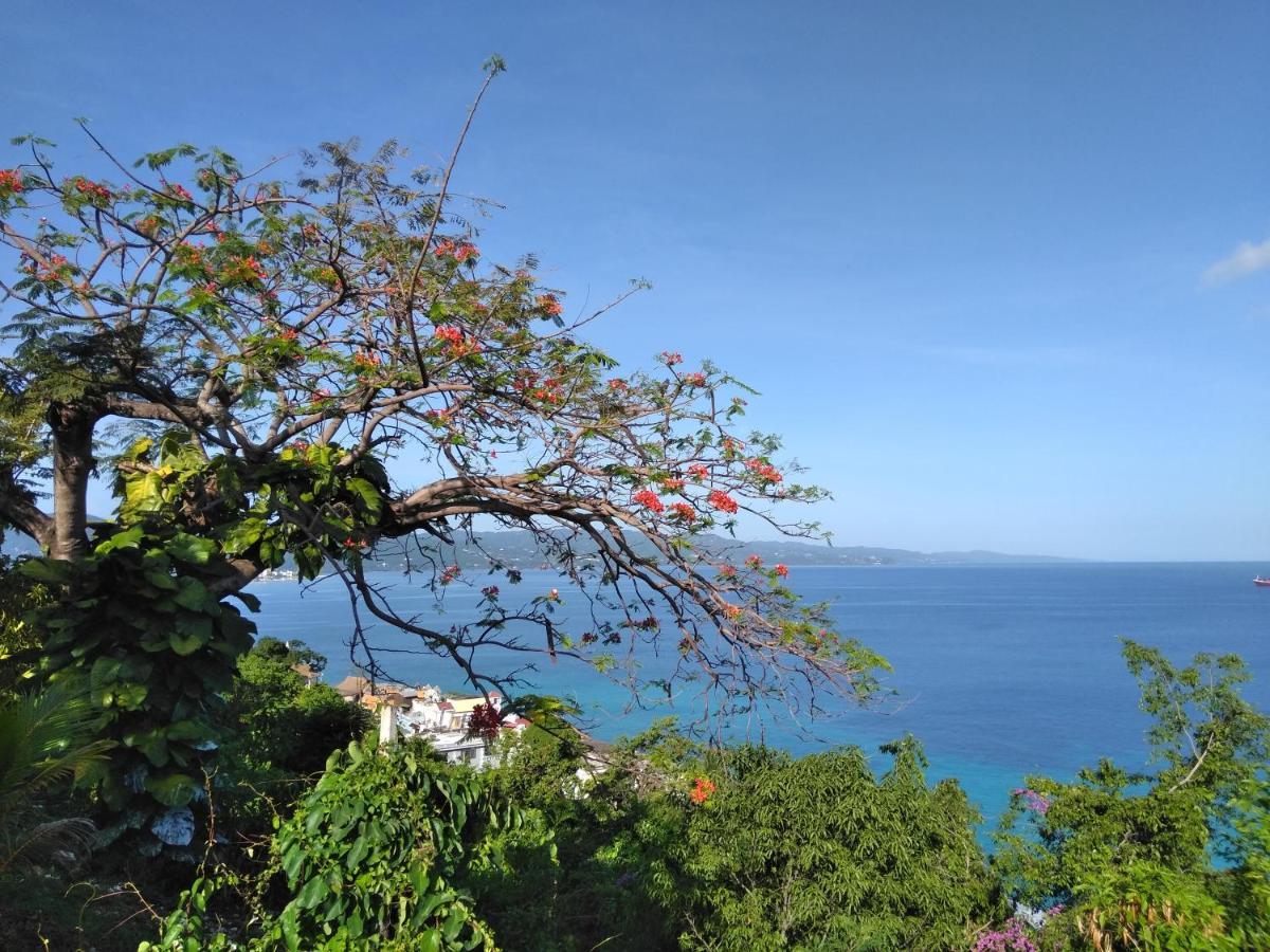 Irresistible View-Mobay Club 1408 Διαμέρισμα Μοντέγκο Μπέυ Εξωτερικό φωτογραφία